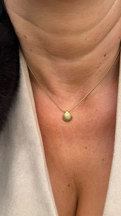 Shell Necklace