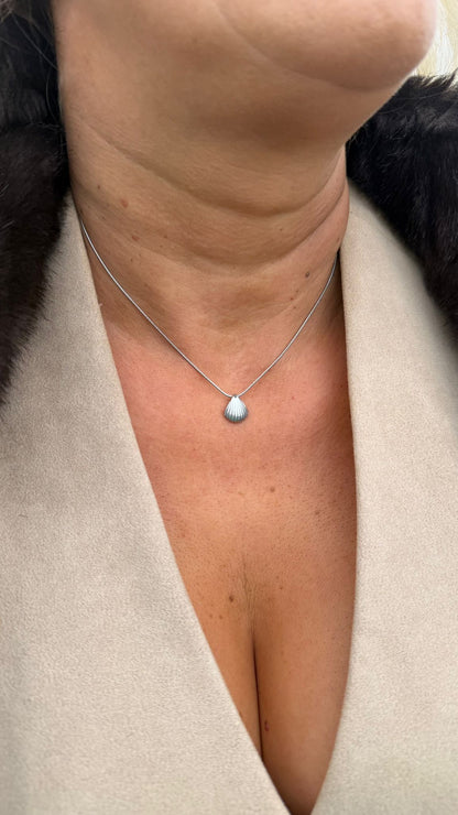 Shell Necklace